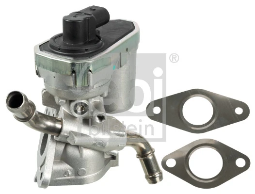 EGR Valve